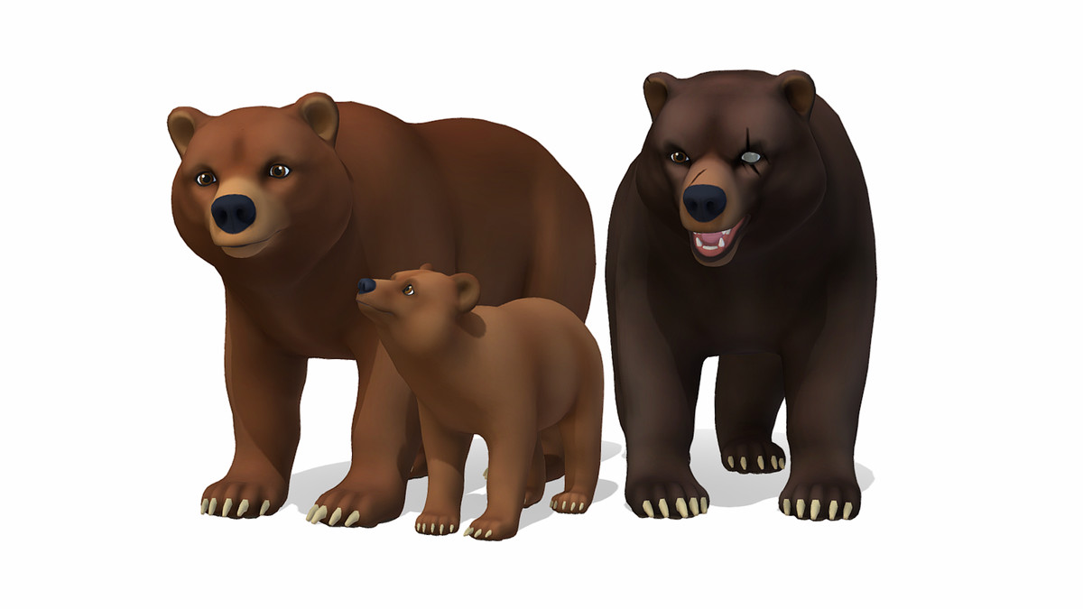Cartoon Wild Animals
