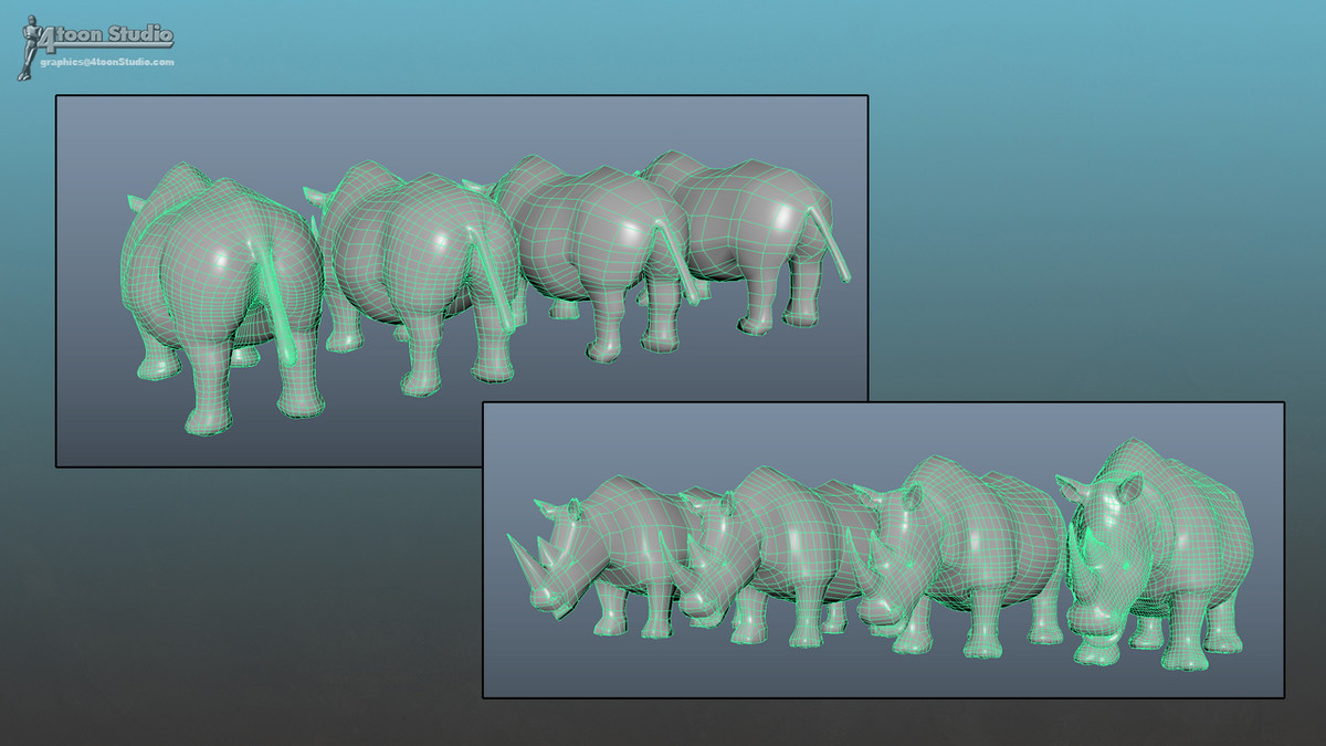 African Animal Rhinoceros Family