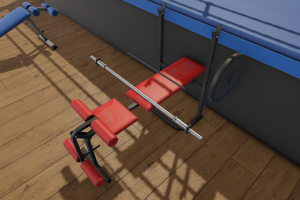 Boxing and Gym Equipment