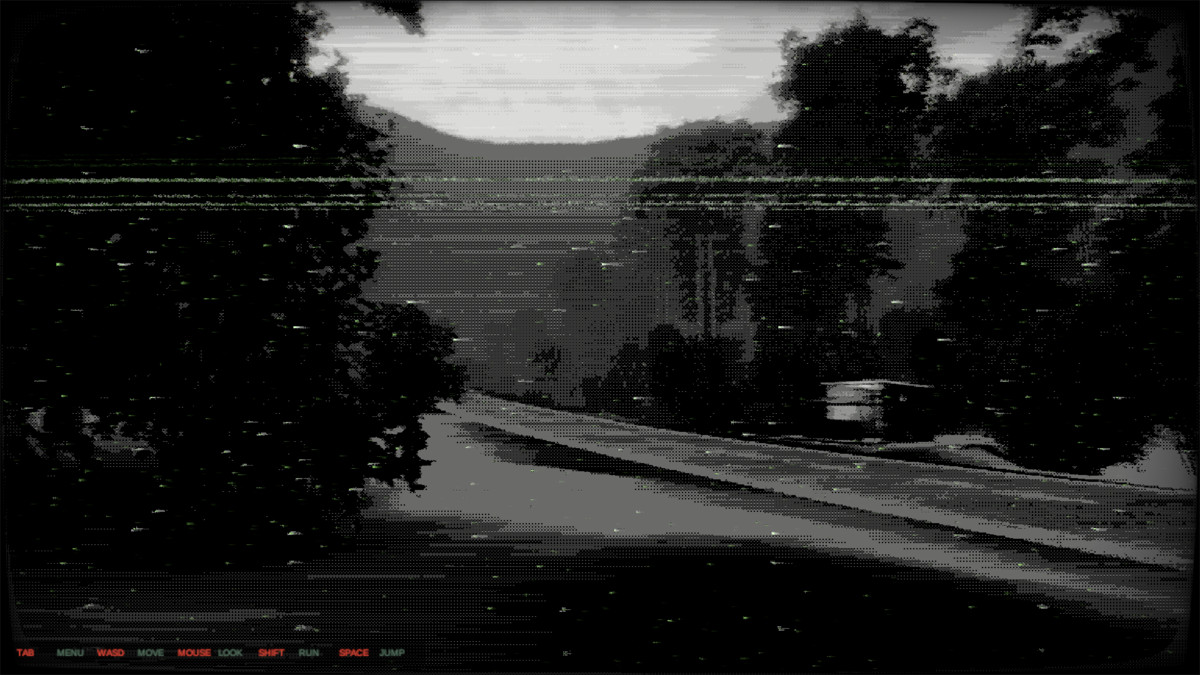 Analog VHS