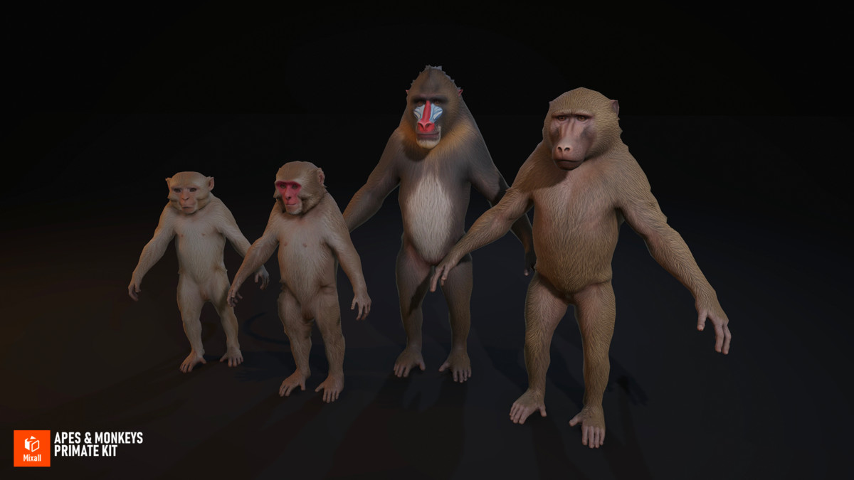 Apes & Monkeys - Primate Kit