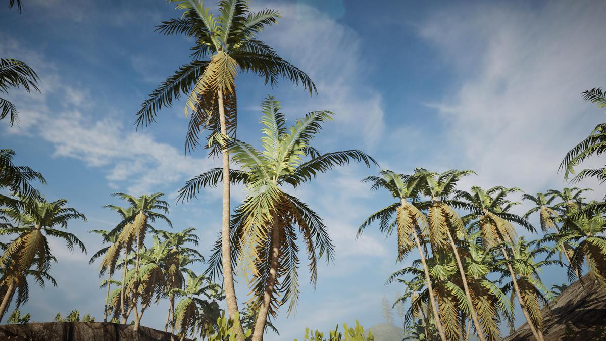Palm Tree Bundle (Mobile)