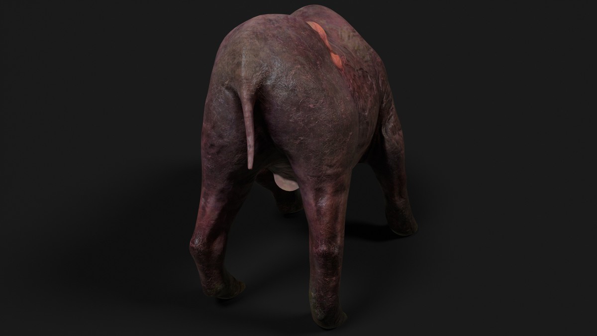 Boar - Mutant Collection