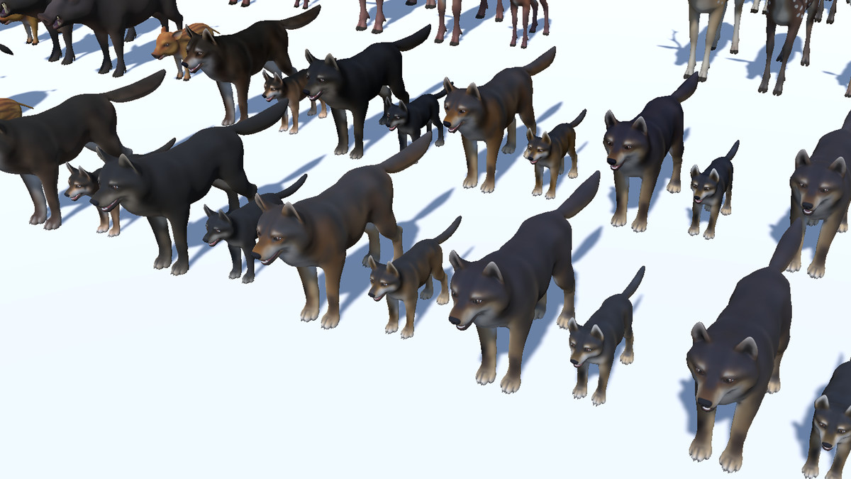 Cartoon Wild Animals