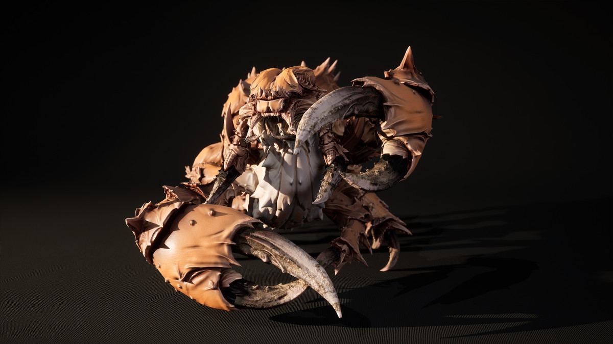 Insect
