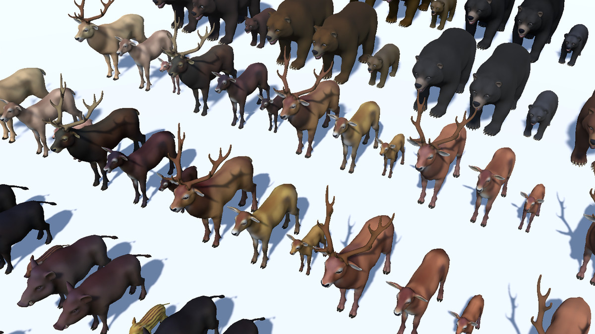 Cartoon Wild Animals