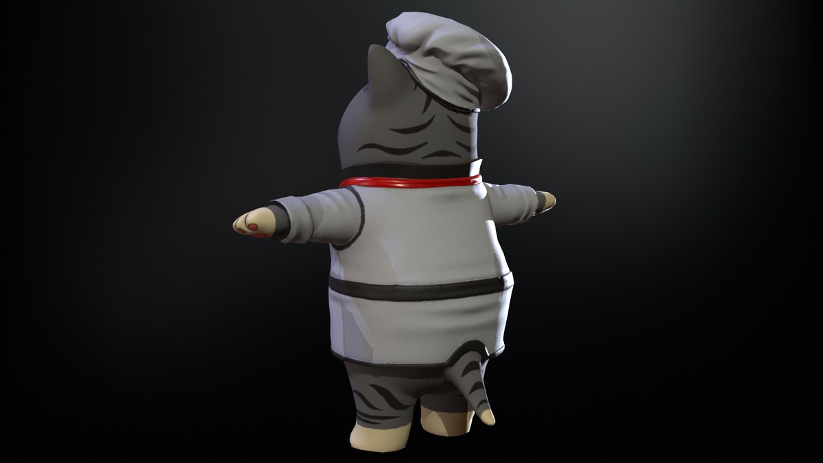 Cook Cat