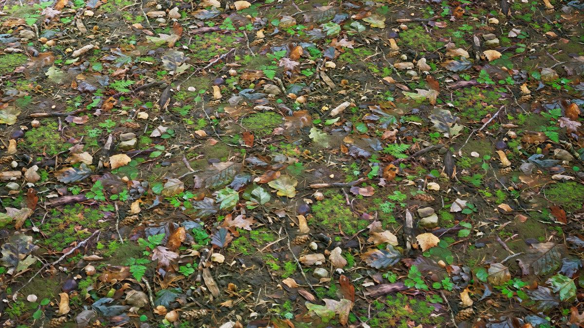 Realistic Materials - Forest Ground 1