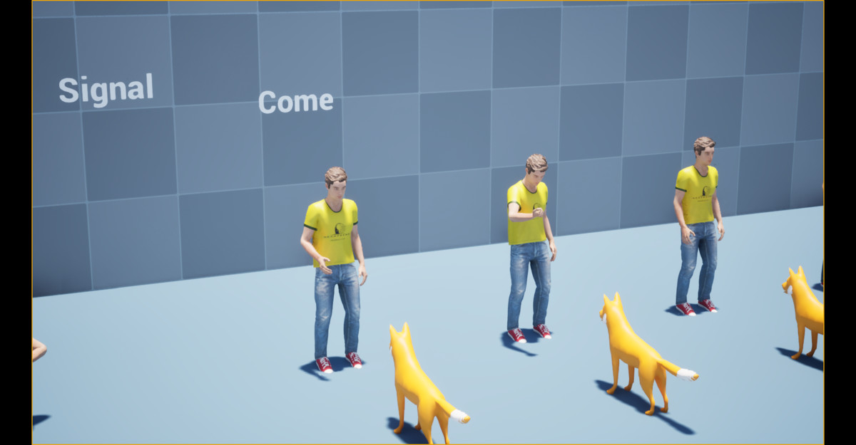 Dog Command Animation