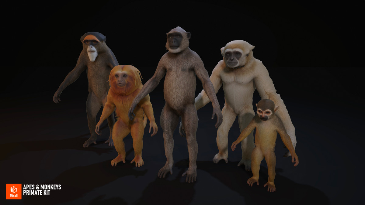 Apes & Monkeys - Primate Kit