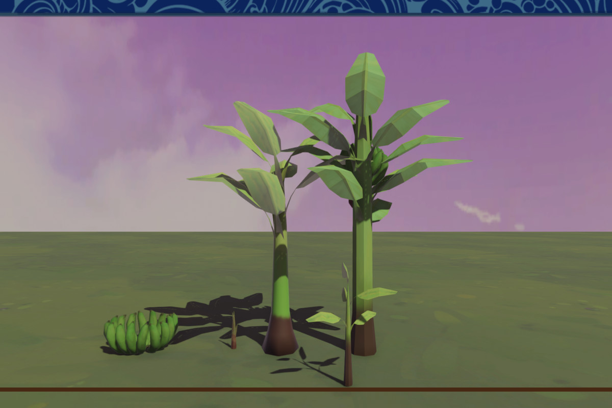 Various Nusantara Tree