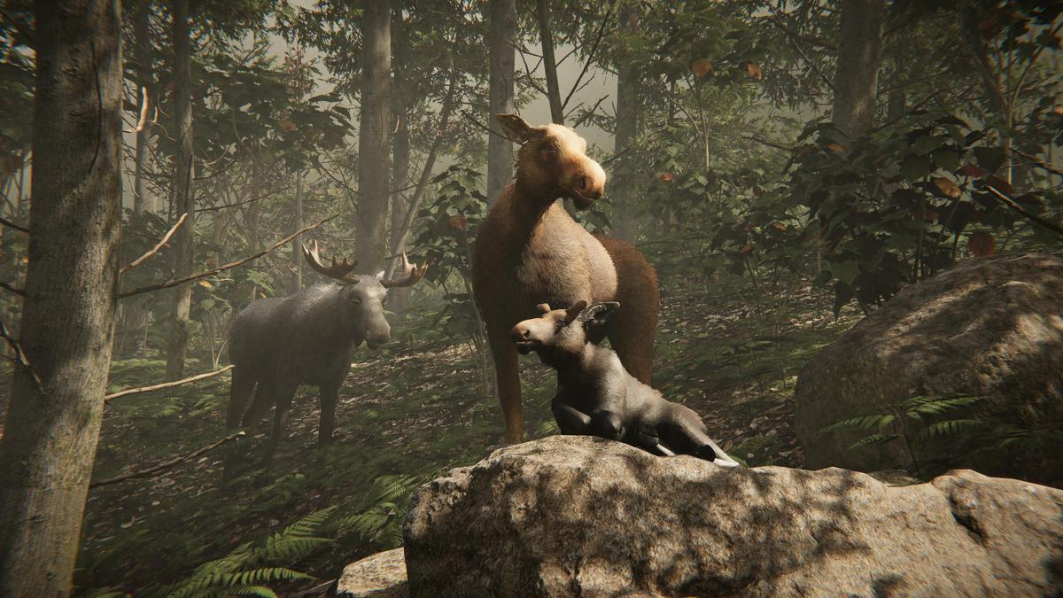 Realistic: Animal Forest Set