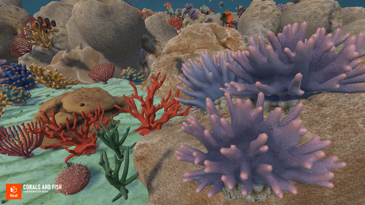 Corals and fish - underwater reef