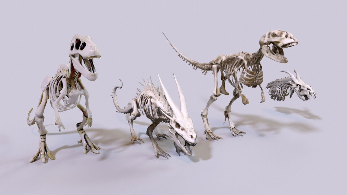 Ultimate Skeleton and Skull Pack. Game-ready low-poly assets