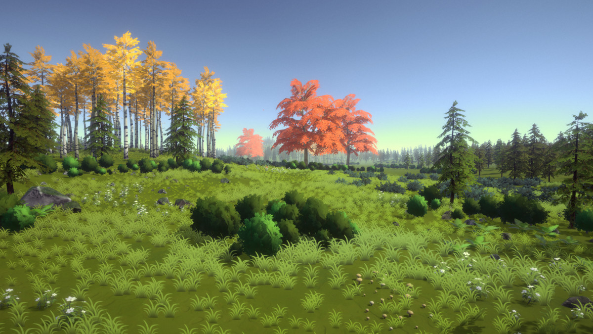 Skog: Temperate