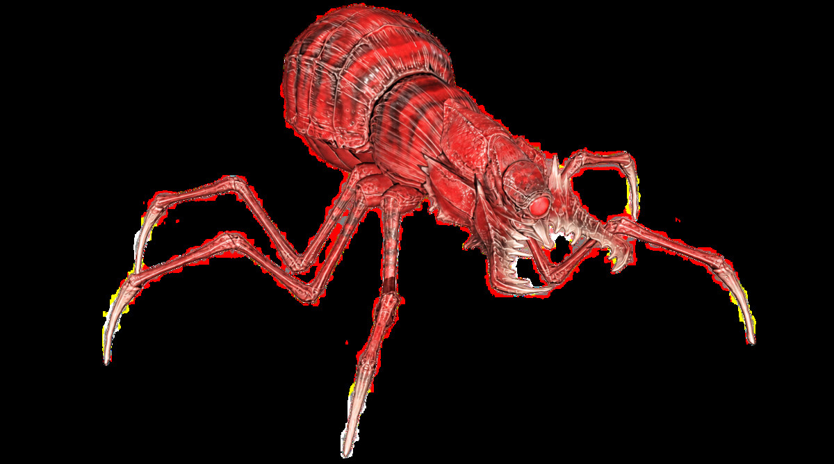 Full Insect Monsters Bundle
