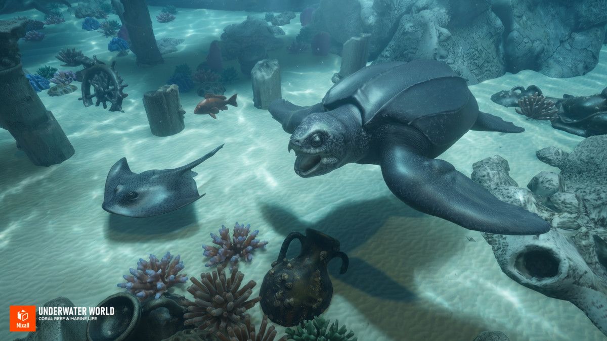 Underwater world - Coral Reef & Marine Life