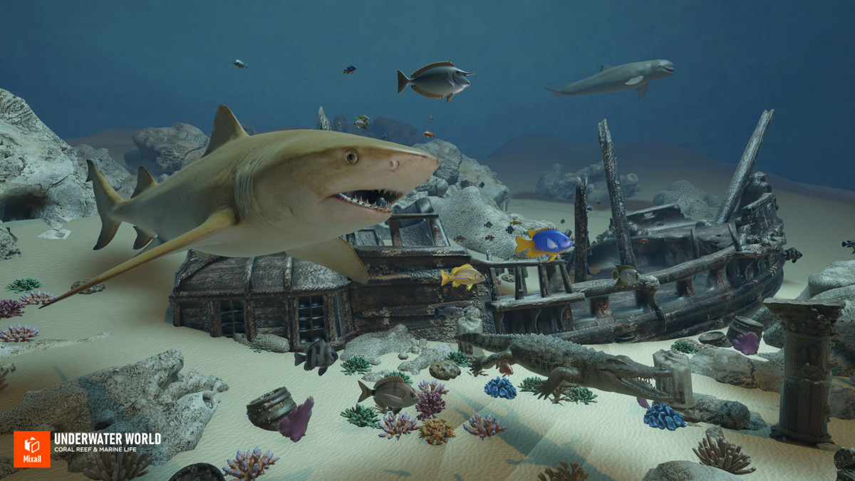 Underwater world - Coral Reef & Marine Life