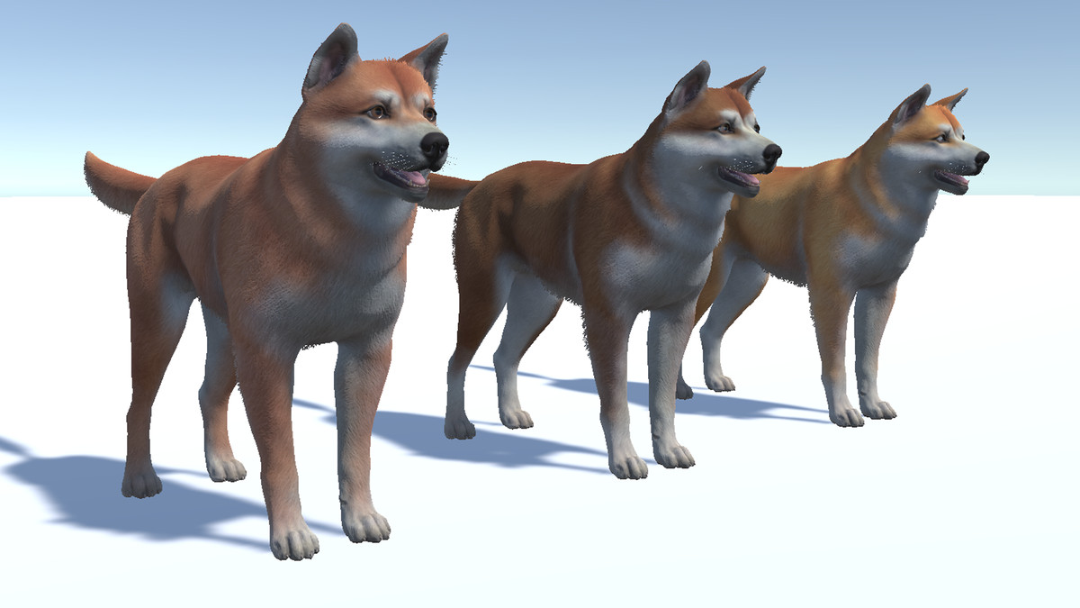 Dog - Akita Inu