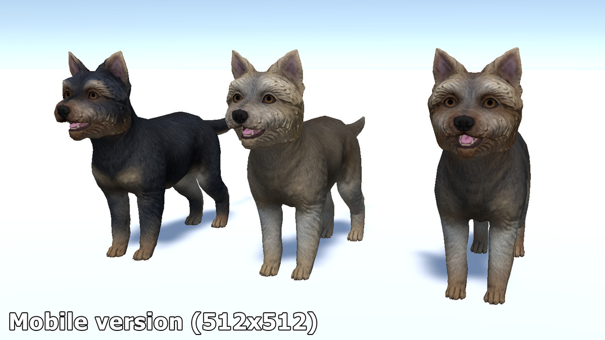 Dog - Yorkshire Terrier
