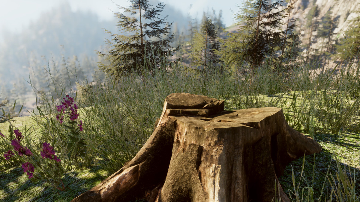 Mountain Forest Stumps