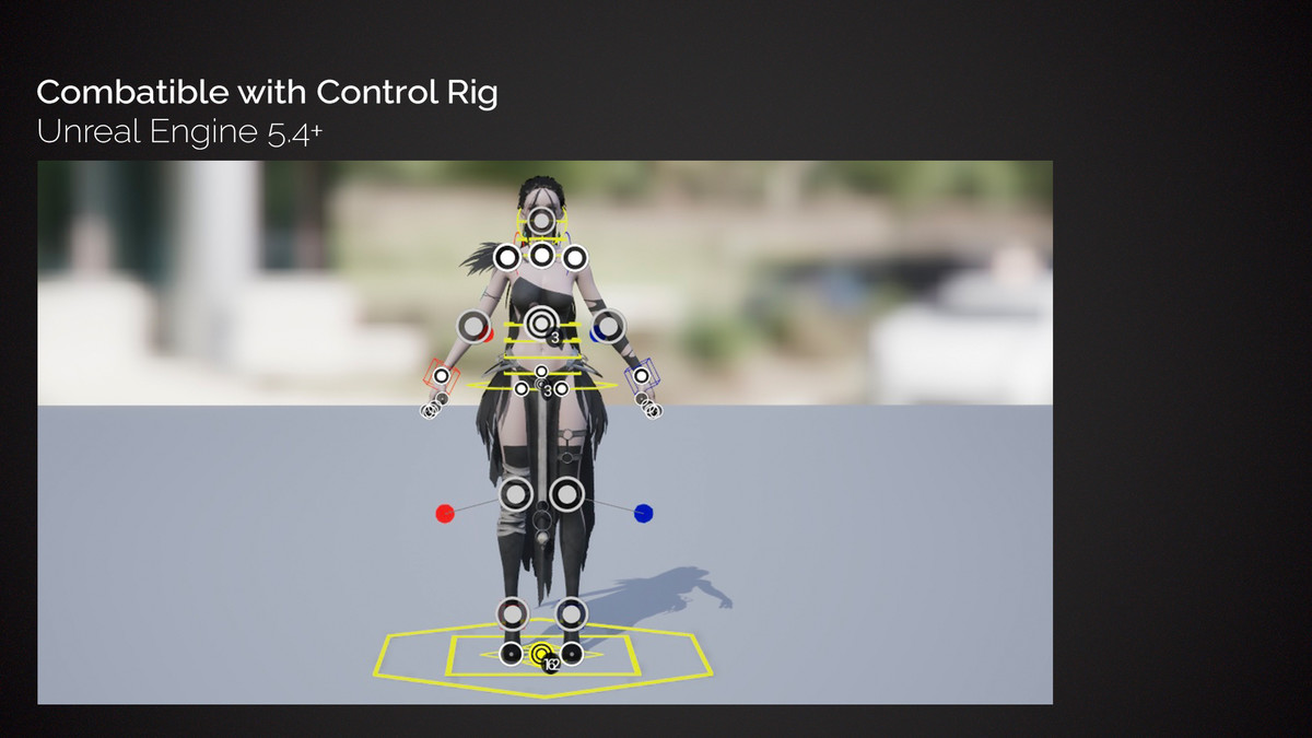 Necromancer Girl Sora