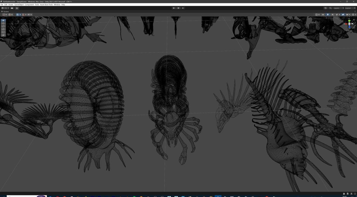 Fish and Underwater Creatures Skeleton Collection – Marine Bone 3D Asset Pack