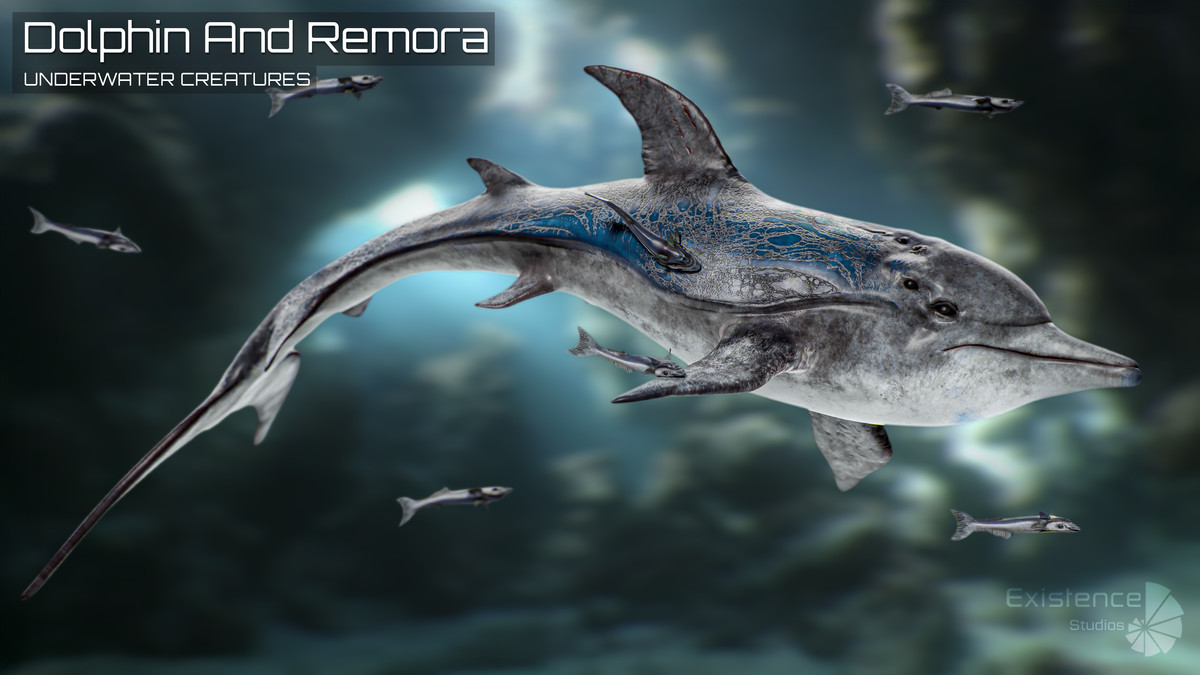 Underwater Creatures Pack 4 - WalrusSeal, Spider, Turtle, Worm, Dolphin & Remora