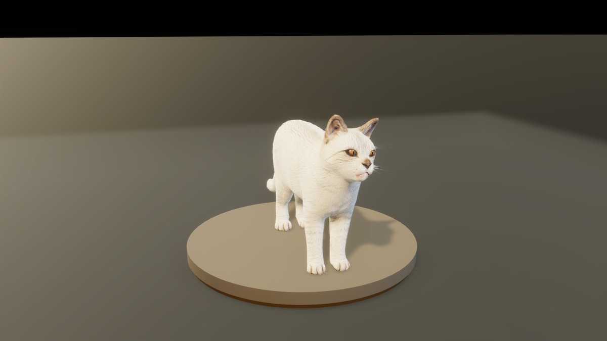 Feline Collection – Realistic Animated Cats with Customizable Fur