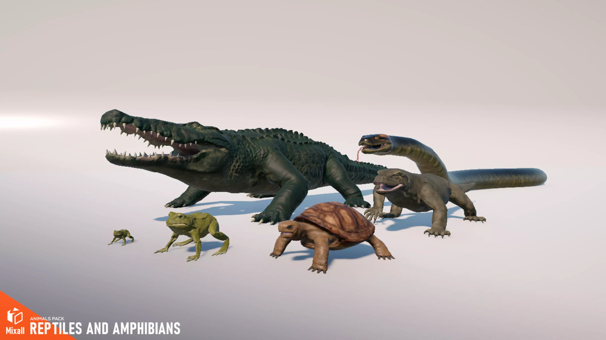 Animals pack - birds, reptiles and others