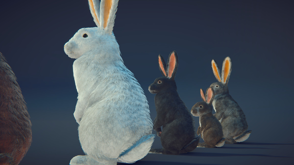 Realistic Rabbits