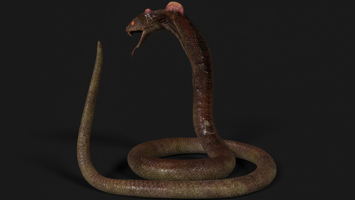 Snake - Mutant Collection