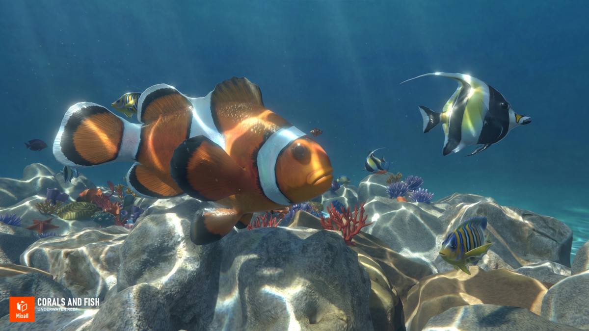 Corals and fish - underwater reef