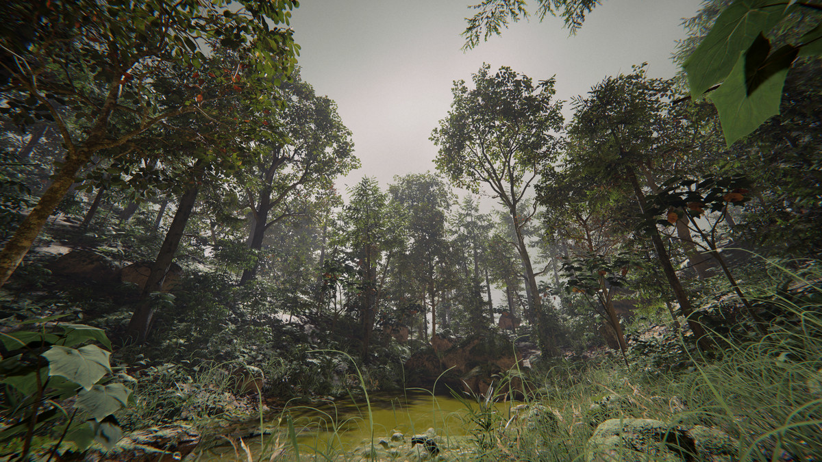 SeedMesh Forest Bundle