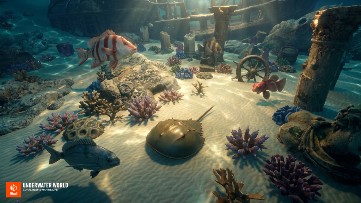 Underwater world - Coral Reef & Marine Life
