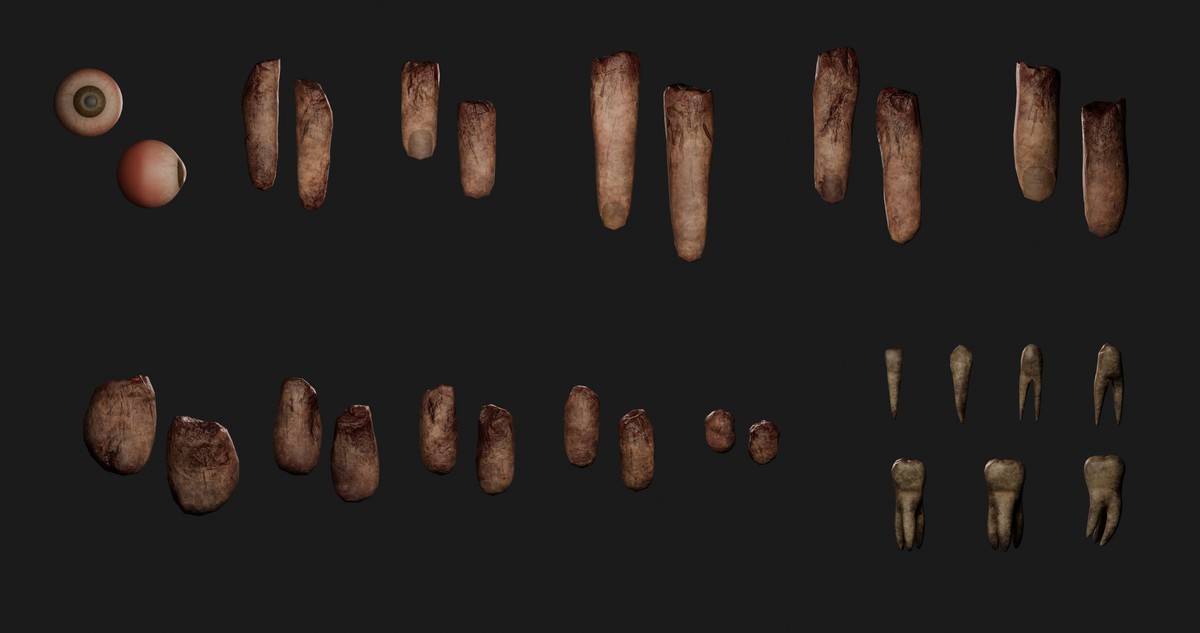 Human Body Parts