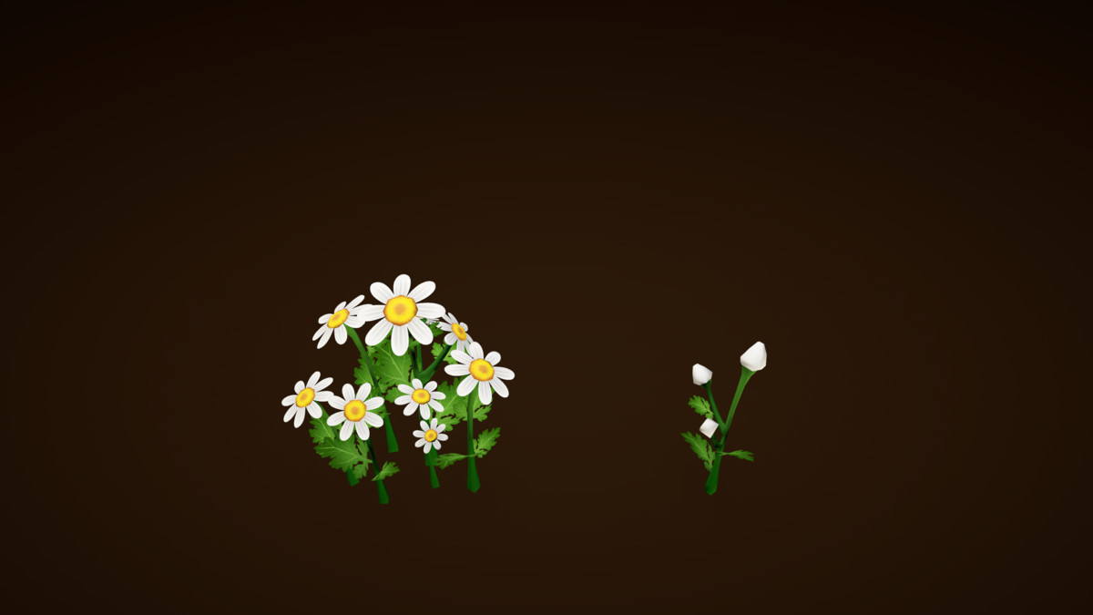 Garden Plants Set