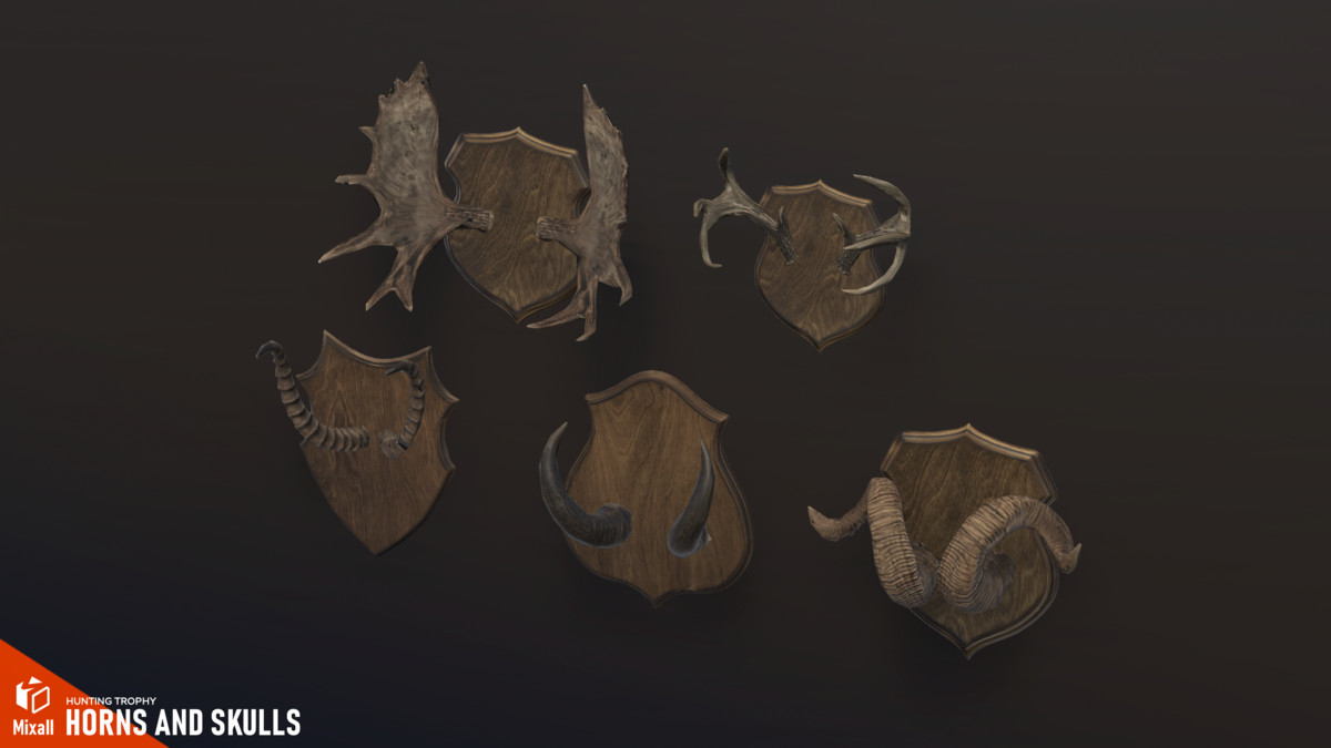 Horns and Skulls – Hunting Trophy
