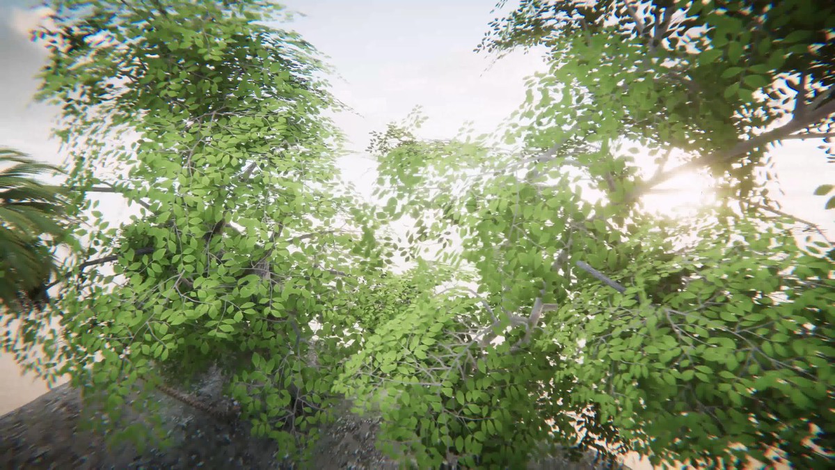 Tree Collection Pack 4