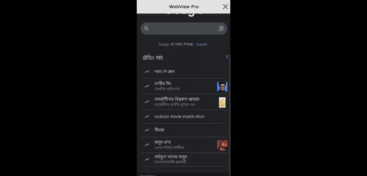 WebViewPro