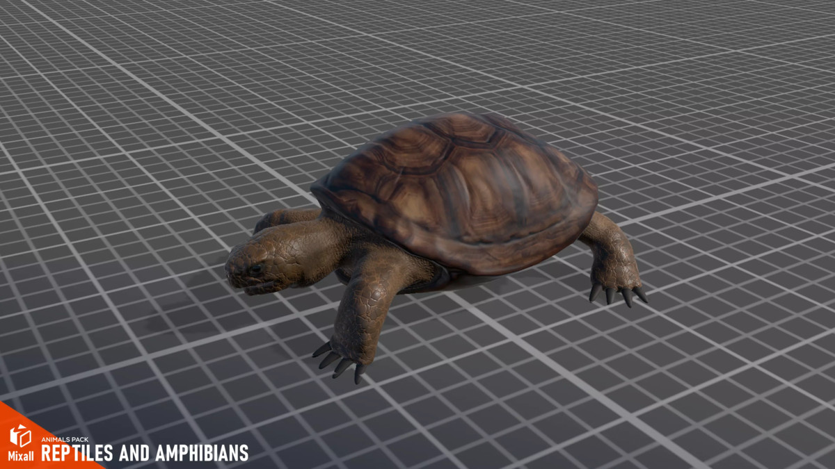 Animals pack - birds, reptiles and others