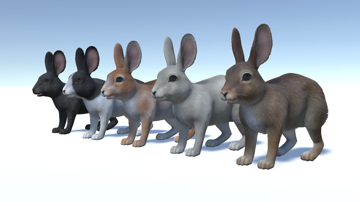Rabbit Family