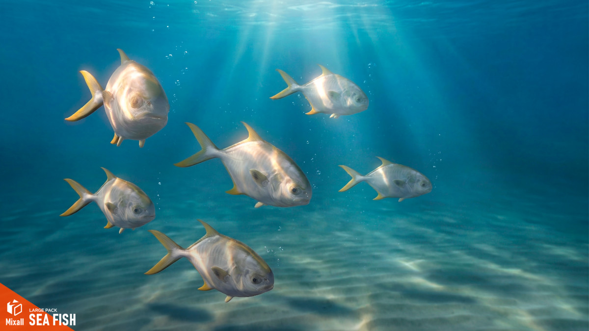 Sea fish - large pack