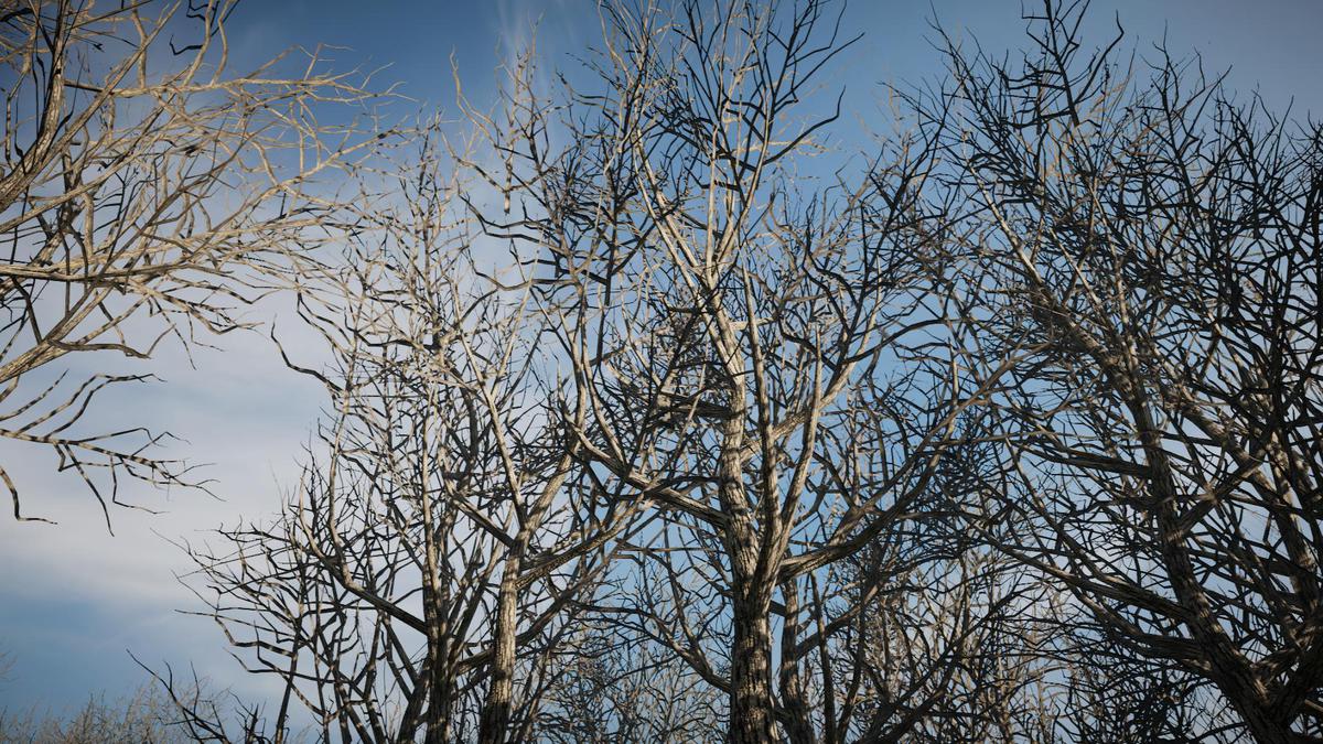 Winter Tree Bundle (Mobile)