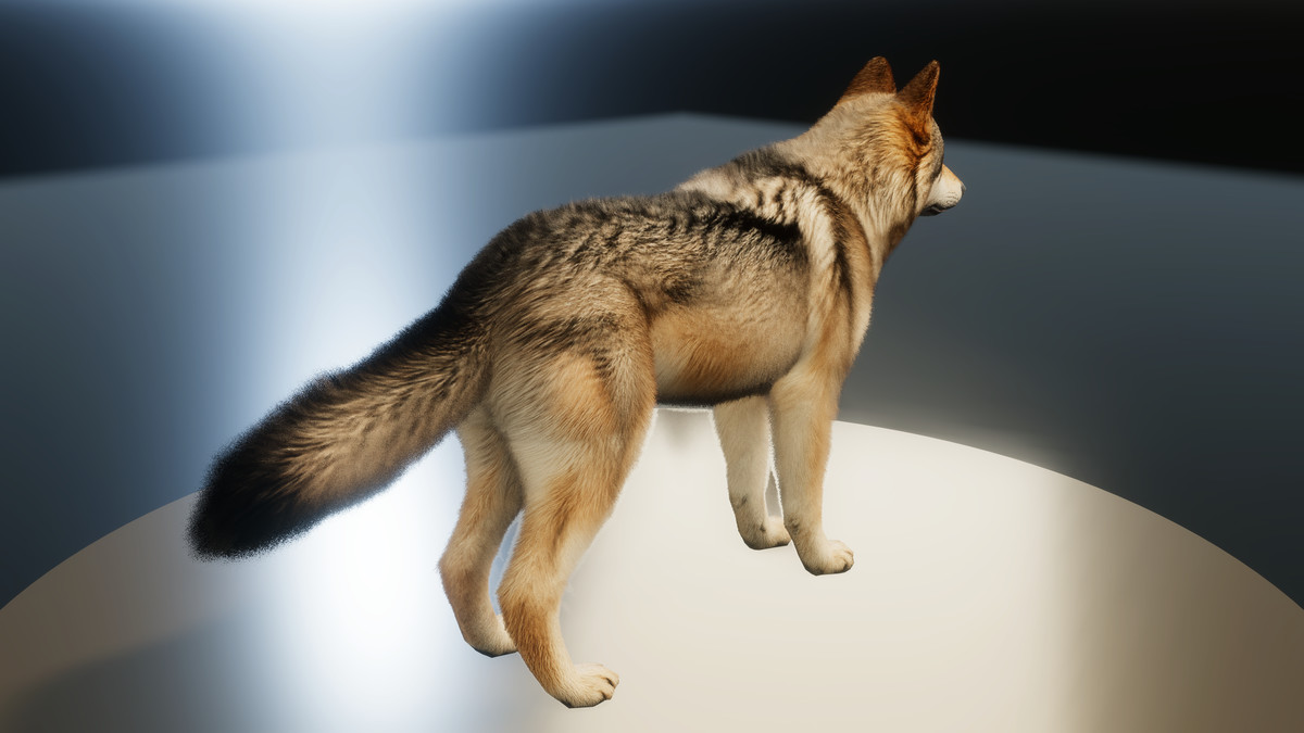 Forest Predators Collection - Realistic Animated Animals