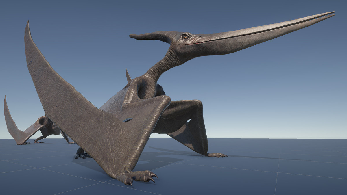 Dinosaur Pteranodon 179 Animations