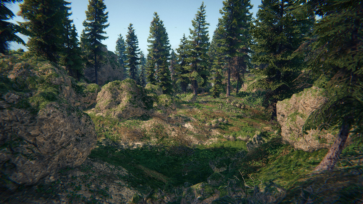 Spruce Forest