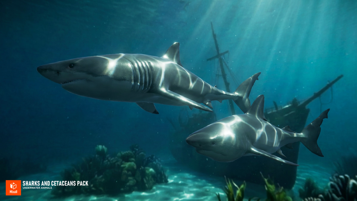 Sharks and Cetaceans Pack