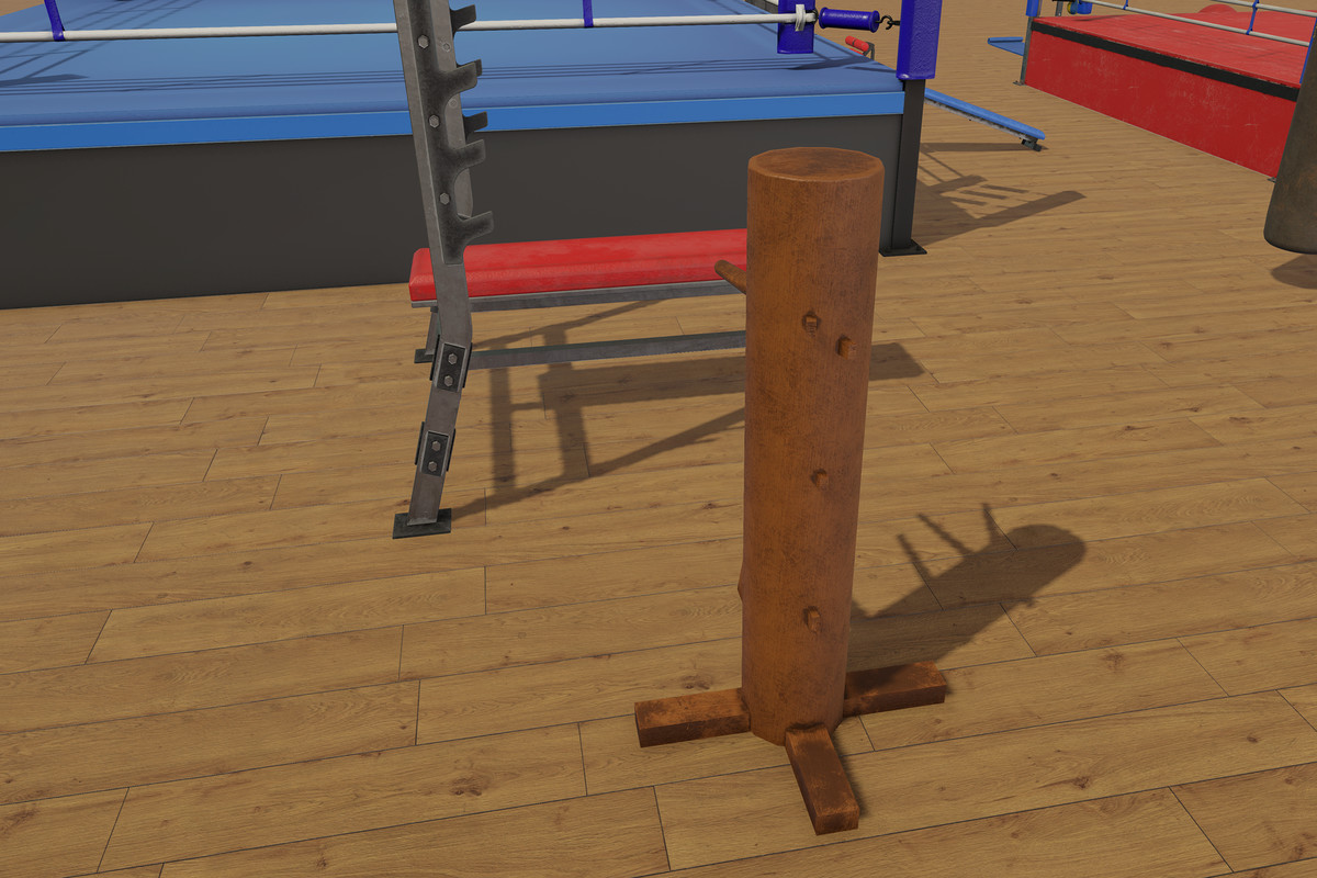 Boxing and Gym Equipment