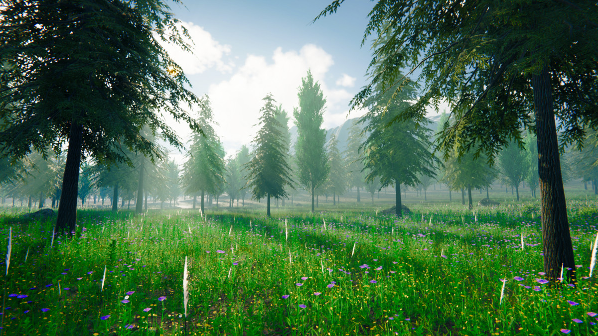 Grass Landscape